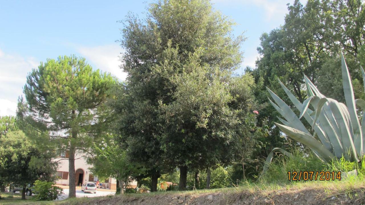 Monte Grimano Terme Locanda San Marino Al Coppo المظهر الخارجي الصورة